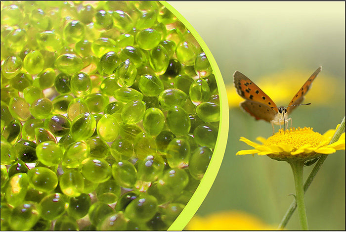 Hot Tub Aromatherapy Spa Fragrance Individual